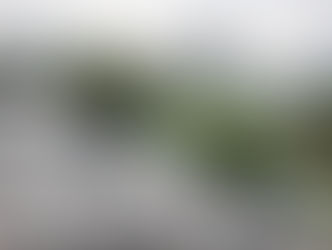 Detran-SP moderniza exame de CNH, autoriza carro automático e retira etapa de baliza