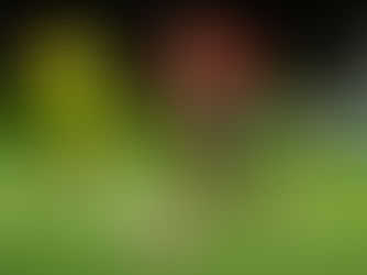 São Paulo é goleado pelo Mirassol e se complica no Brasileirão