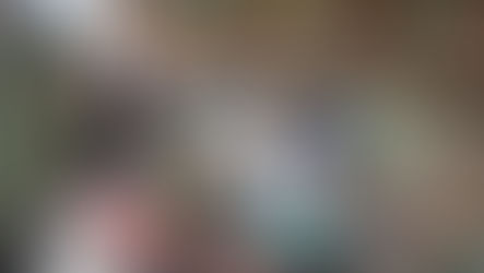 GCM de Guarulhos resgata bichos-preguiça e 133 pássaros silvestres