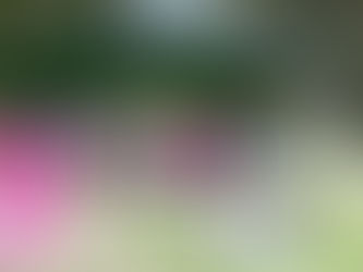 Oficina de Danças Circulares celebra Outubro Rosa neste domingo, em Guarulhos