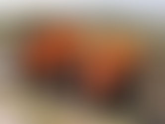 Itaquá alcança categoria B no Indicador de Capacidade Municipal (ICM) em Defesa Civil