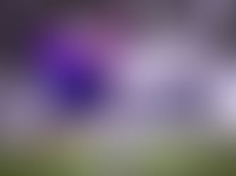 Corinthians busca nona vitória no Brasileiro diante do Atlético-MG