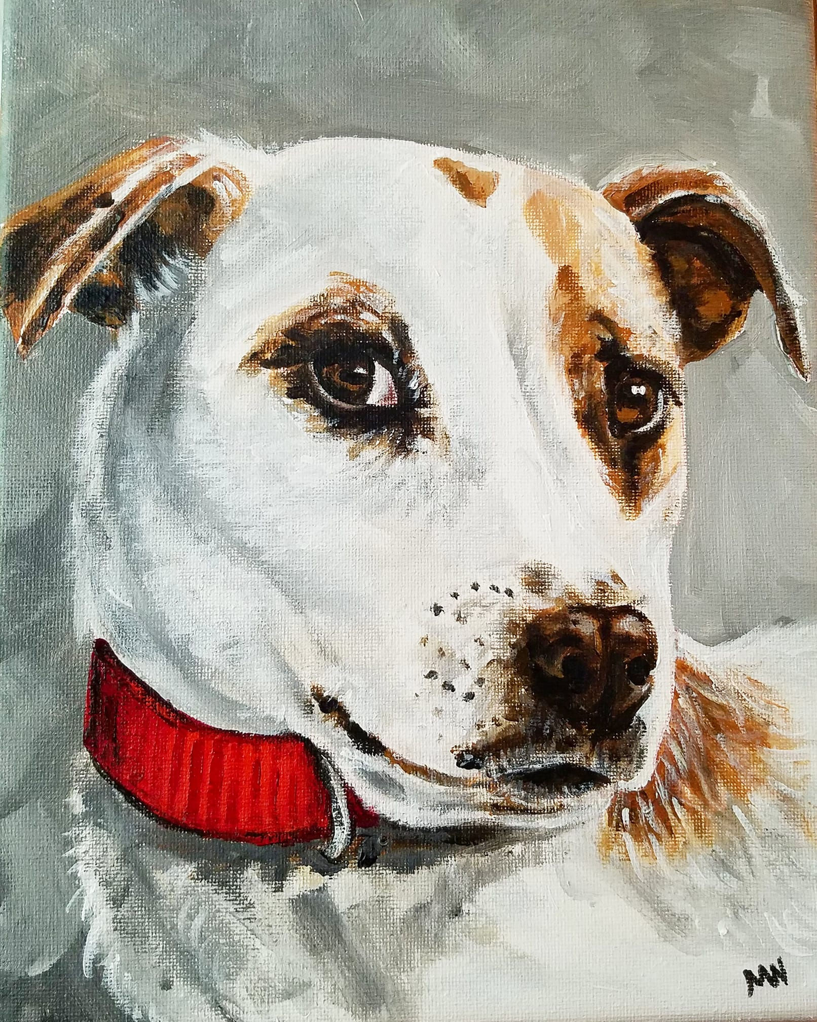 Pet Portraits