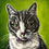 Thumbnail: Pet Portraits