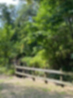 Begin Mount Baldy Beach Trail here