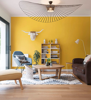 salon-cosy-dans-les-tons-vitamines-de-jaune-et-de-vert.jpg