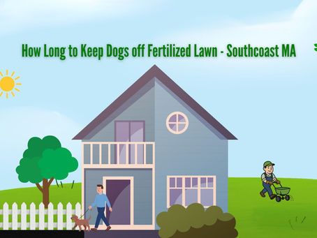 How Long to Keep Dogs off Fertilized Lawn