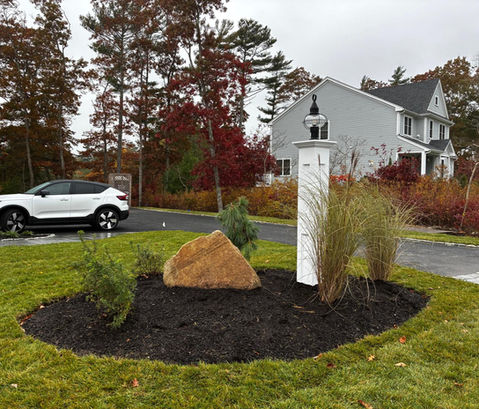 mulch bed with a rock