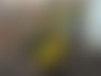 Watering newly planted shrubs in Massachusetts