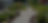 Landscapedesigner_edited_edited_edited.png