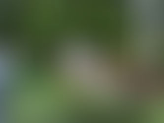 Stone sign with Bay Club logo, surrounded by green trees and colorful flowers, beside a road. Peaceful and welcoming setting.