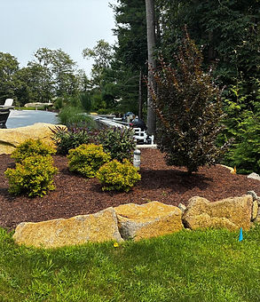 WhatsApp Image 2025-11-10 at 18.47.17_ad3946e3.jpg