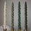 Thumbnail: Evergreen Tree Taper Candles close up of all colors