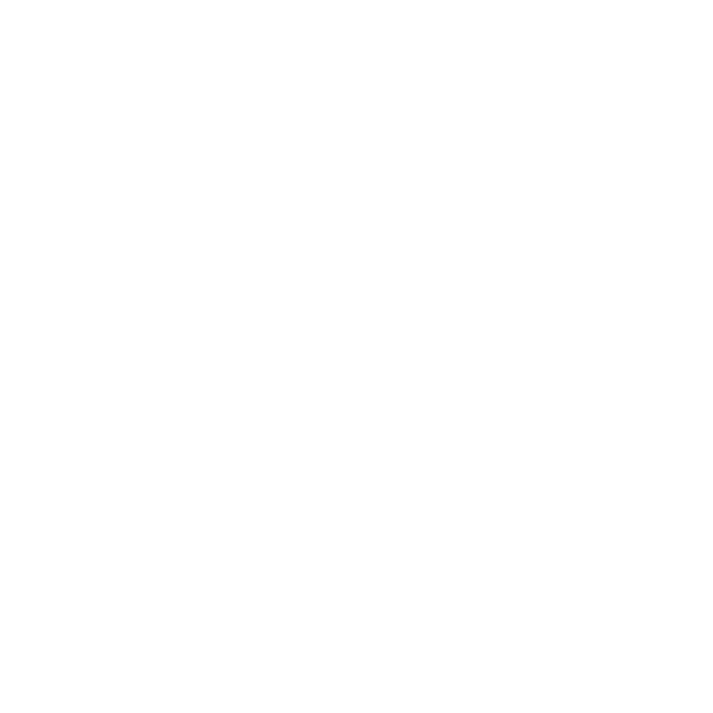 Logo CONSEIL CROISSANCE BLANC