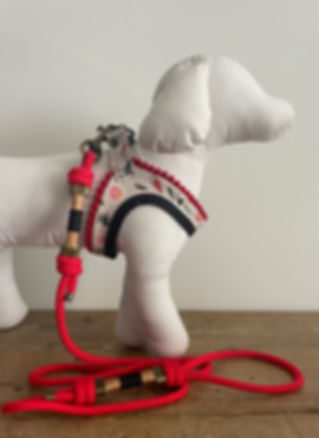 Playdogz harnais hypoallergénique  et ergonomique en coton
