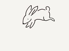 Fluffle House bunny