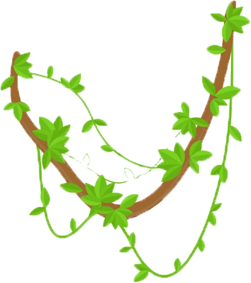 Vines image connecting us to Nature.