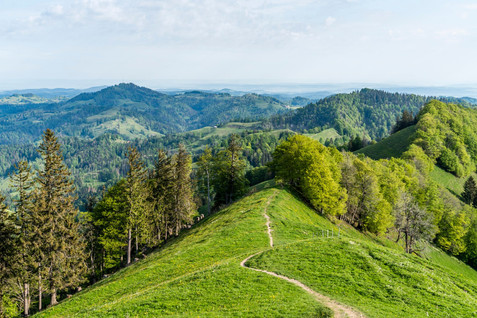 Weg-zum-Schnebelhorn.jpeg