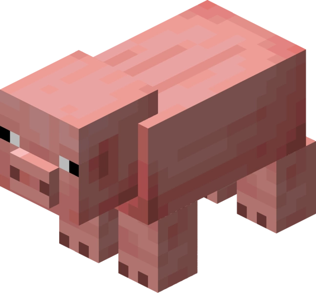 PigNew.webp