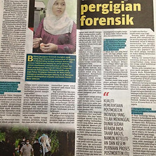 Berita harian.jpg