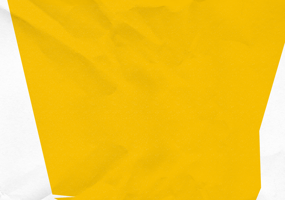 TEXTURA PAPEL copia.png