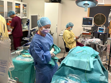 Collaborative Progress at The Bridge: A Week of Learning and Innovation in Lung Transplantation