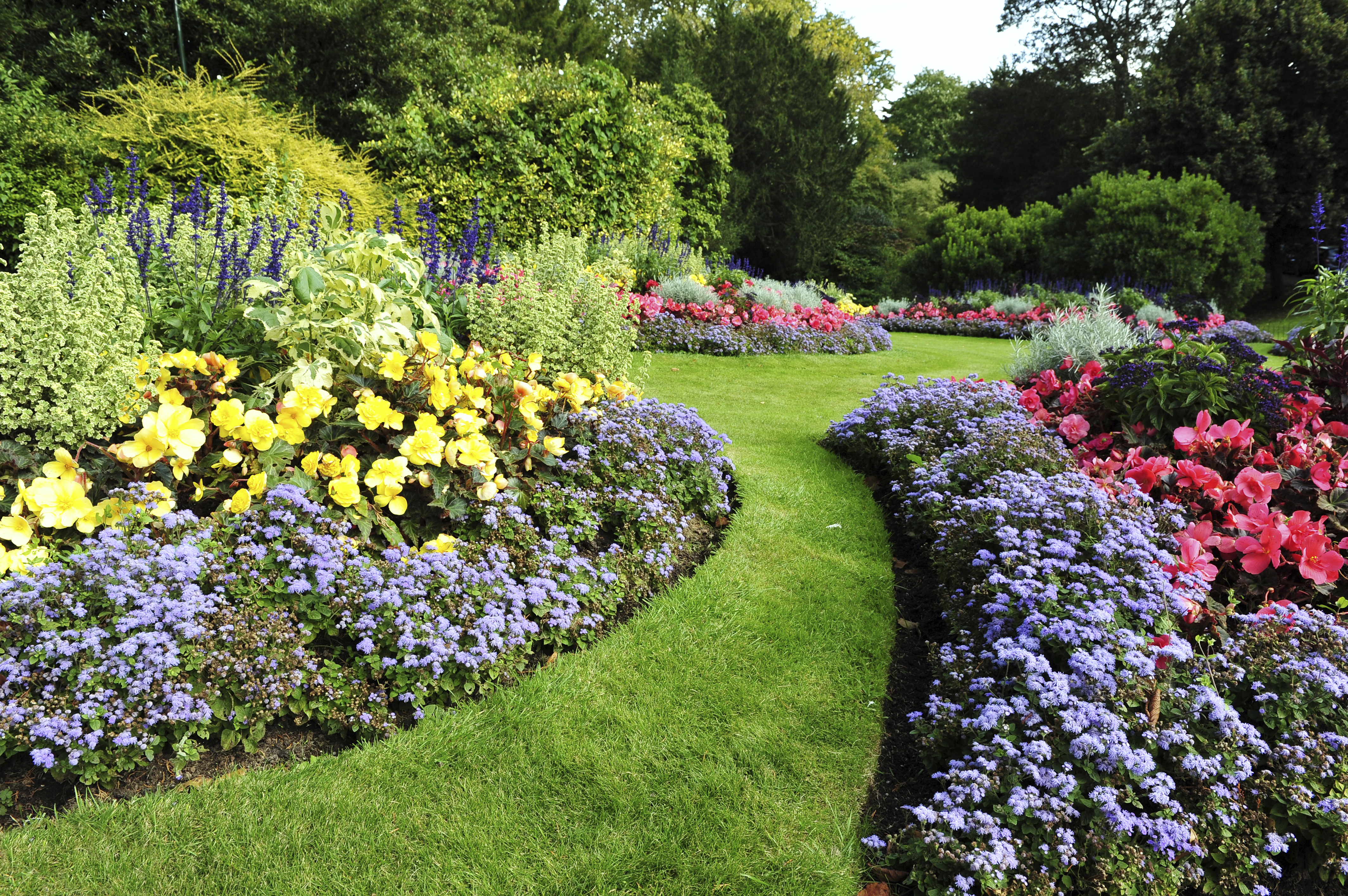 Beautiful Flower Arrangements in Garden