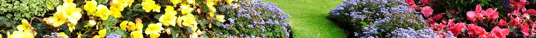 Hübscher Garten