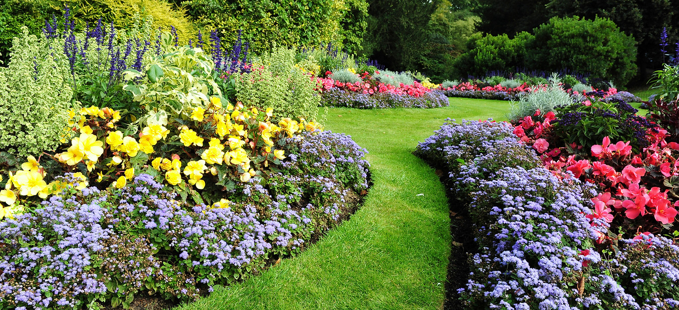 Jardín de flores colorido