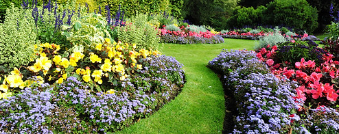 Pretty Garden