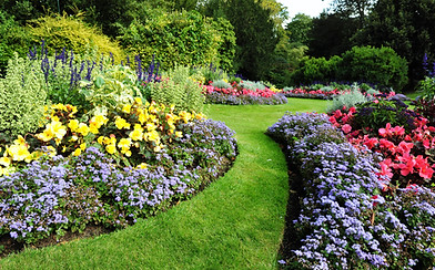 Green Garden