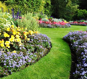 Green Garden