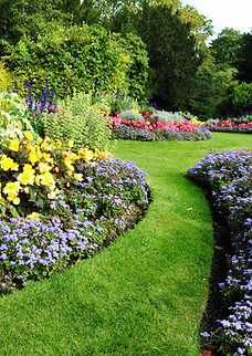 Green Garden