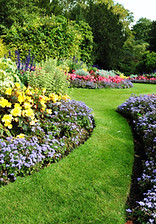 Green Garden