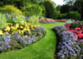 Pretty Garden