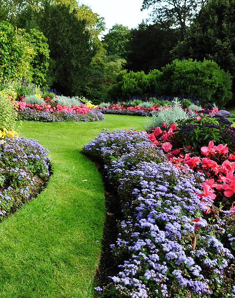 JardÃn bonito