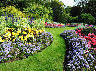 Pretty Garden