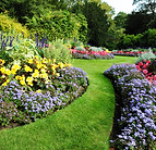 Green Garden
