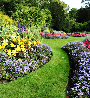 Pretty Garden