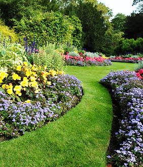 Jardín bonito