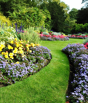 Jardín bonito