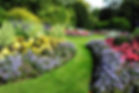 Colorful Flower Garden