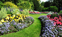 Pretty Garden