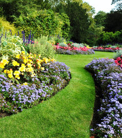 Green Garden