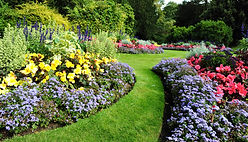Green Garden