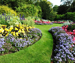 Green Garden
