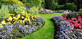 Pretty Garden