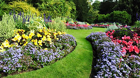 Green Garden