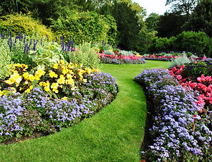 Pretty Garden
