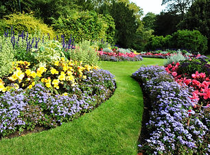 Green Garden